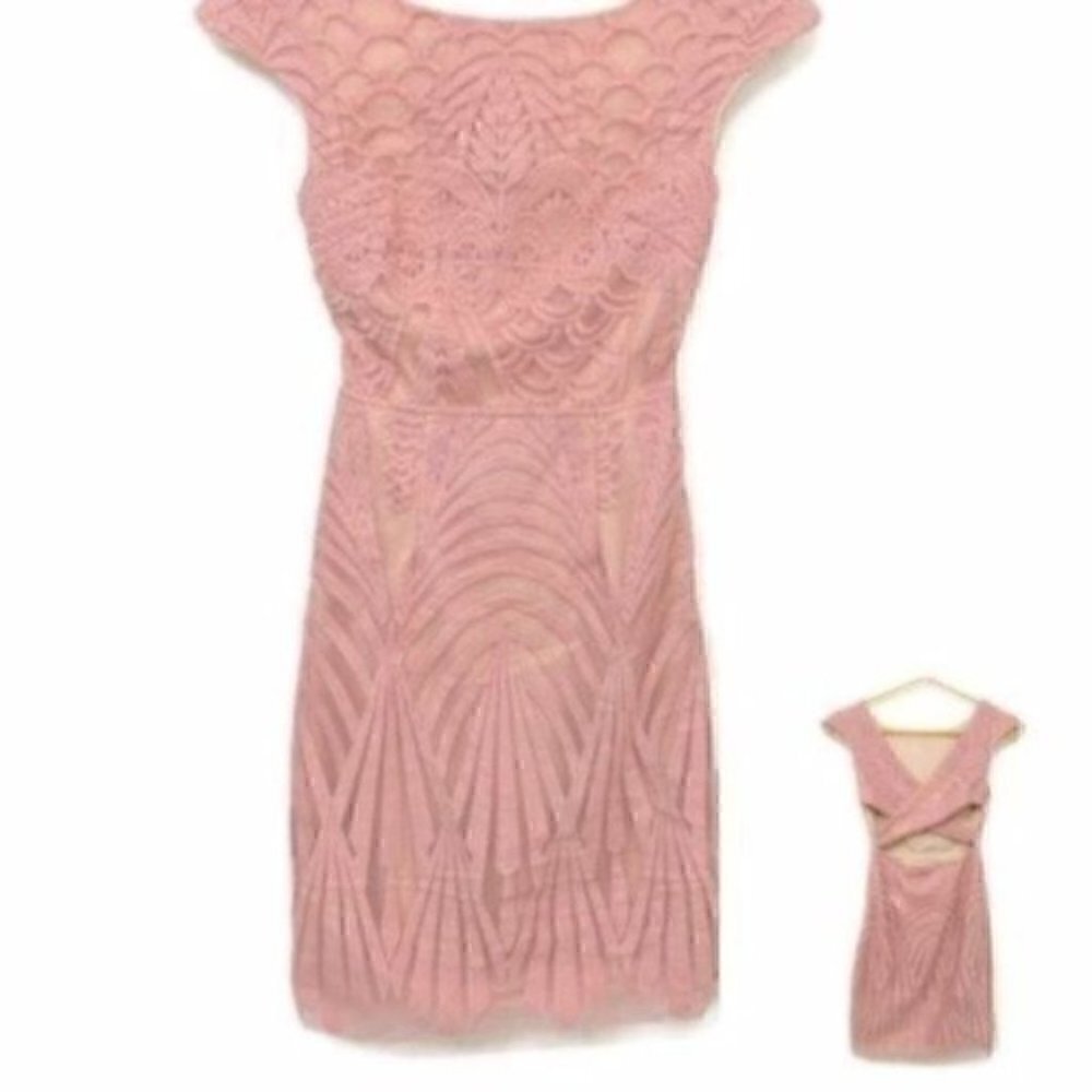 Angel Biba Dress US 4 Small Blush Pink Lace Mesh Overlay Cross Back Cutout AU 8